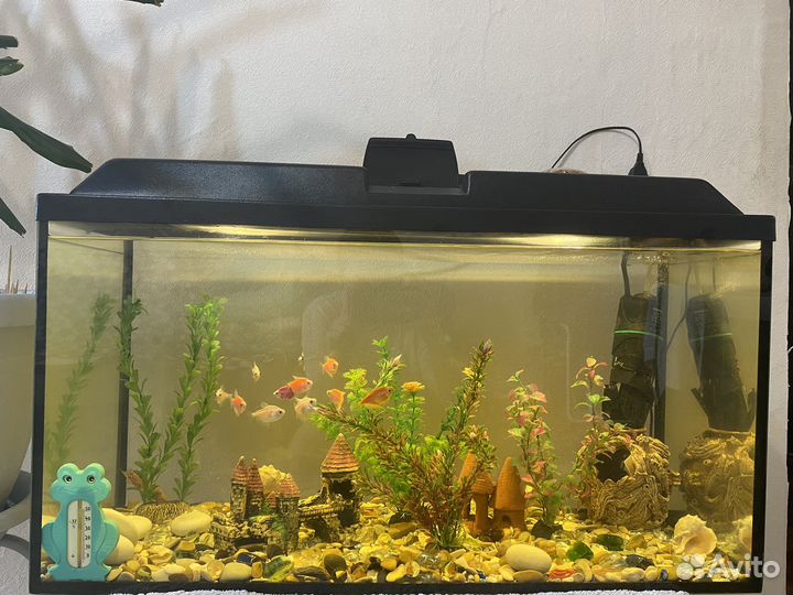 Аквариум