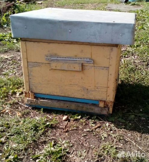 Улья для пчел