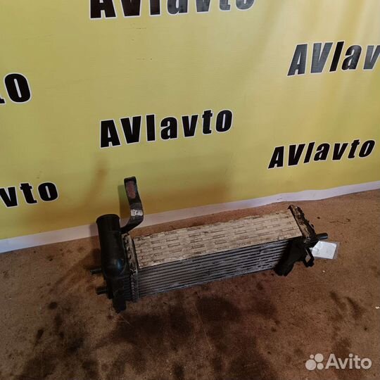 Радиатор интеркулера Ford Focus 3 1.6 diesel