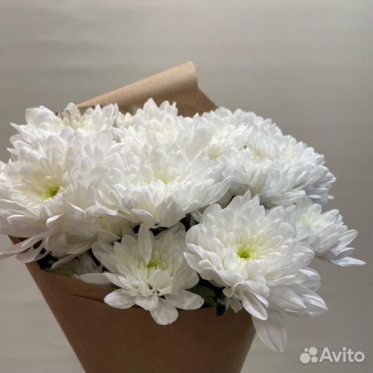 Букет хризантем / букет комплимент / Доставка цвет