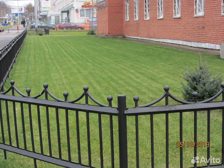 Семена Газонов