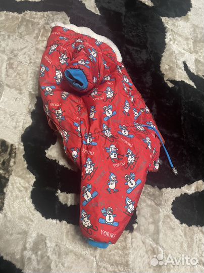 Комбинезон для собаки