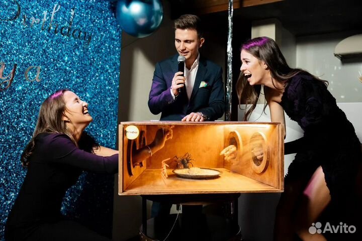 Кажется нащупал, Мега-Дженга, Кикер, шоу