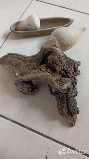 Коряги, дрифтвуд