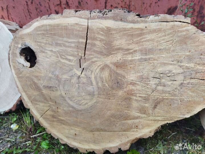 Спил Слэб Дуб Карагач