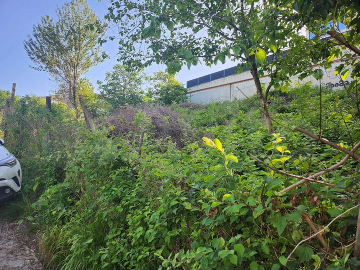 Участок 5 сот. (ИЖС)