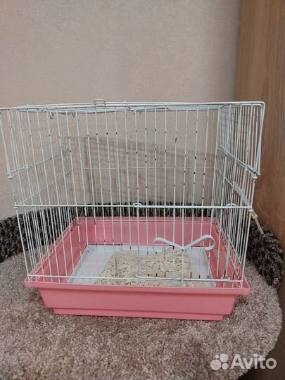 Клетка