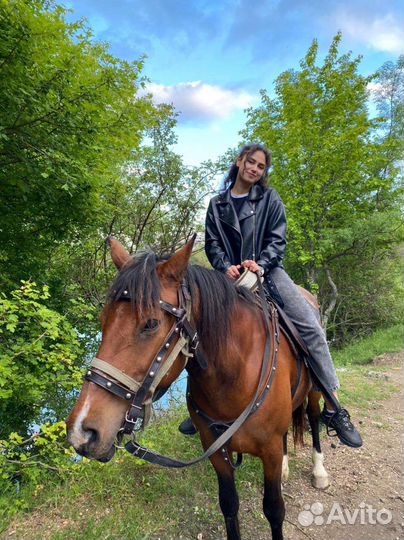 Конные прогулки