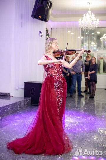 Скрипка на ваш праздник