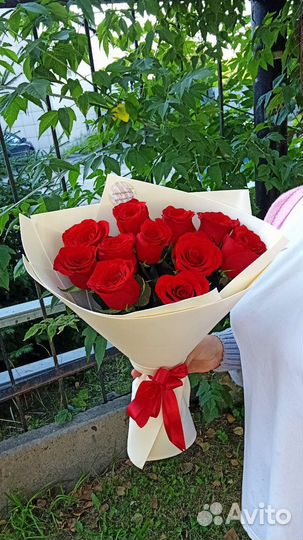 Розы Эквадор 50 см 11шт
