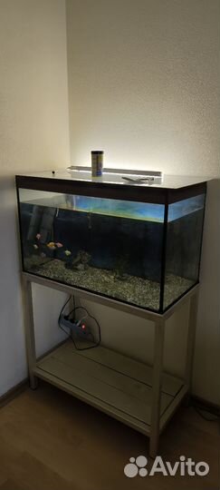 Аквариум