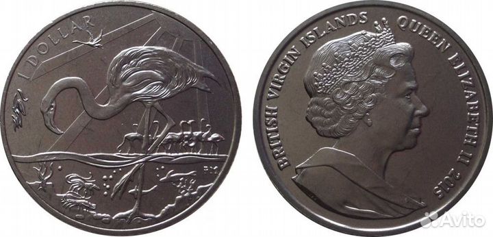 Виргинские острова - 1 доллар - фламинго - UNC