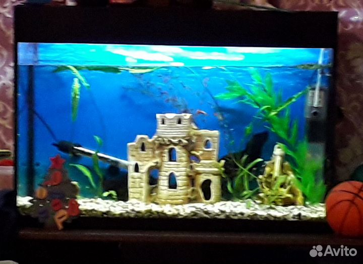 Аквариум