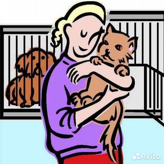 Работник в приют для животных