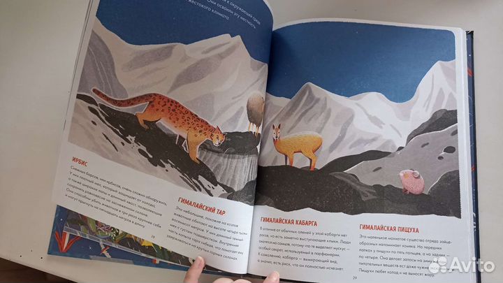 Эверест, книга энциклопедия для детей