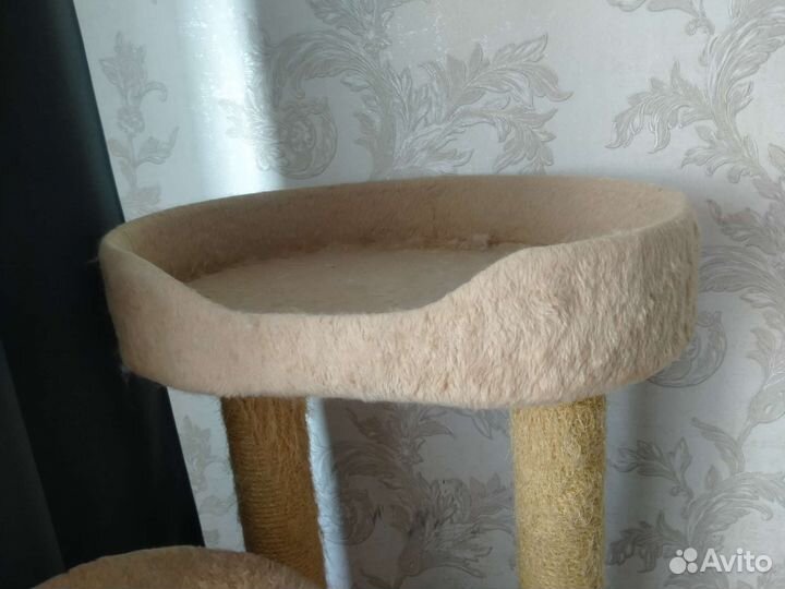 Когтеточка и лежанка