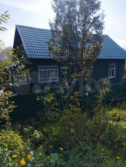 Дом 35,8 м² на участке 12 сот.