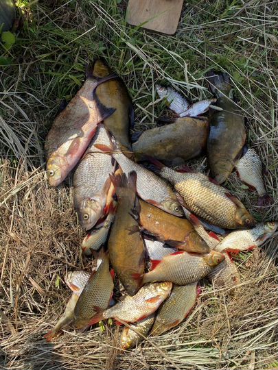 Дом 70 м² на участке 30 сот.