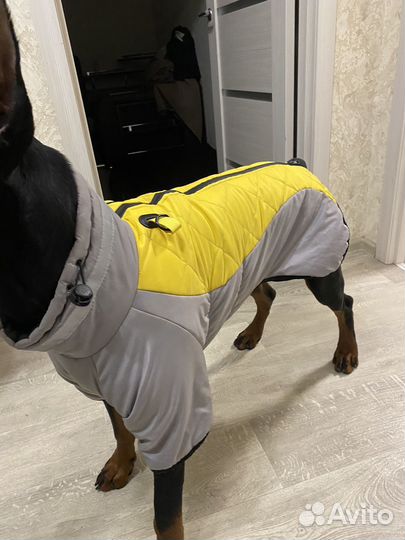 Попона для собаки 4xl