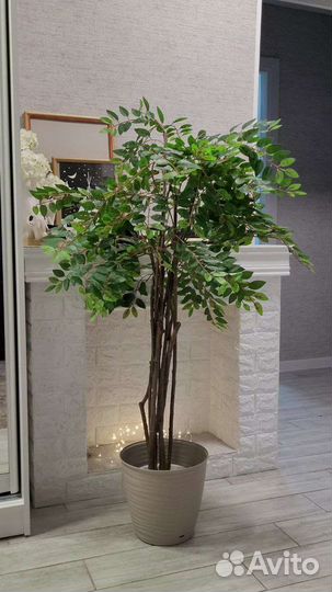 Искусственный фикус дерево