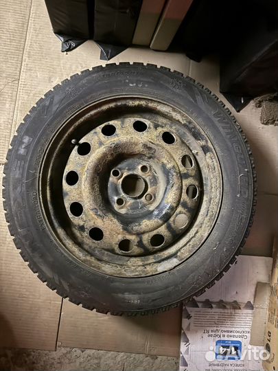 Nexen Winguard WinSpike 185/65 R15 92T