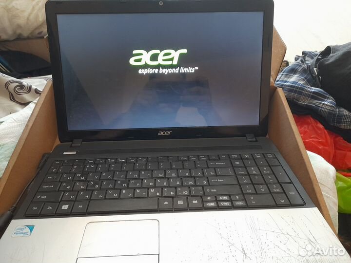 Acer