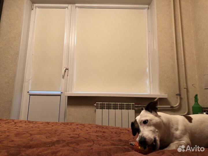 Рулонные шторы уни