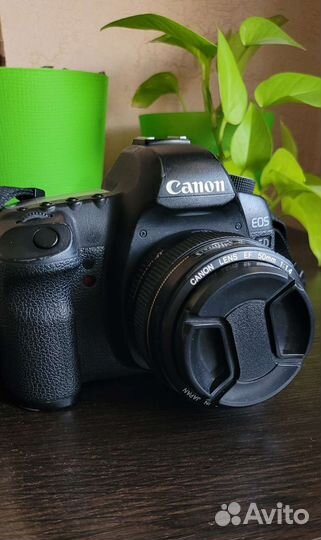 Зеркальный фотоаппарат canon 5D mark ii + 50mm 1.4