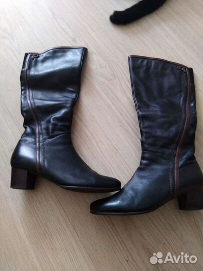 Сапоги осень весна женские кожаные