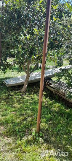 Парусный швербот Луч