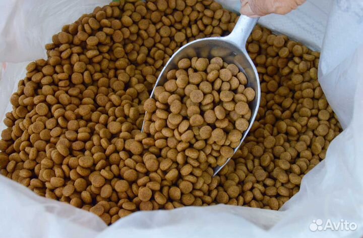 Качественный сухой корм для кошек и собак