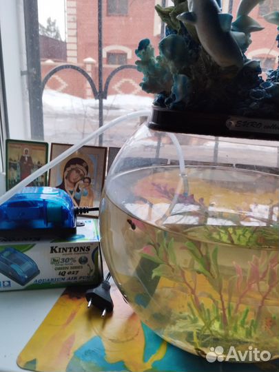 Аквариум с рыбками, компрессор