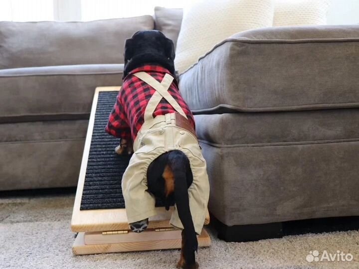 Лесенка для собак