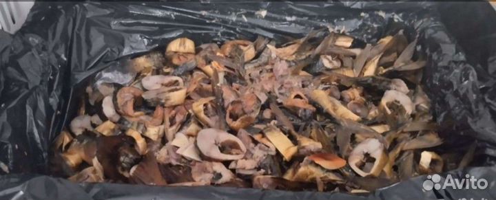 Корм для животных, рыбные отходы