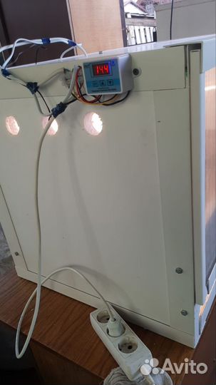 Брудер для цыплят