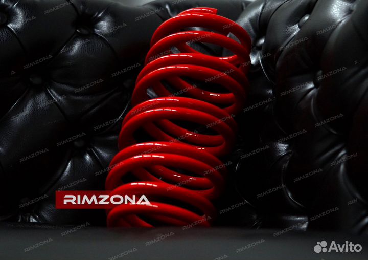 Пружины с занижением -30 на Passat