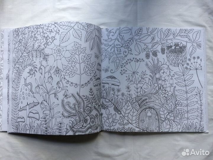 Абсолютно новая книга-раскраска «Зачарованный лес»