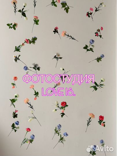 Аренда под фотостудию