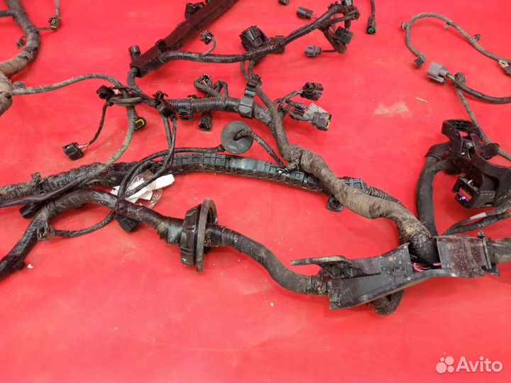 Проводка моторного отсека Kia Rio 4 2017