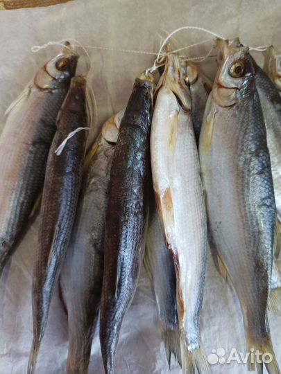 Рыба шамайка вяленая