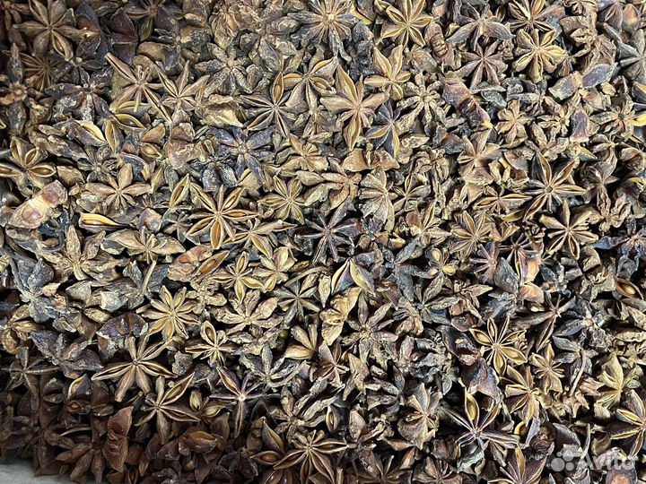 Бадьян звездочки (анис)