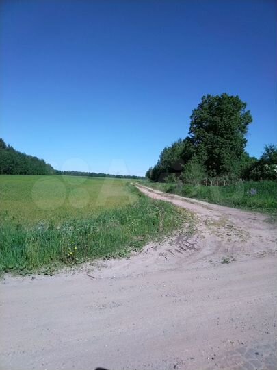 Участок 12 сот. (ИЖС)