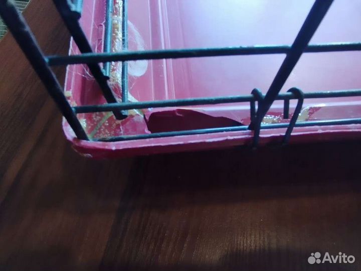 Клетка для грызунов бу