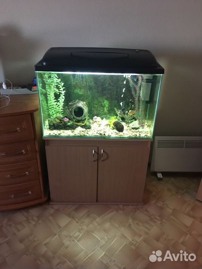 Аквариум