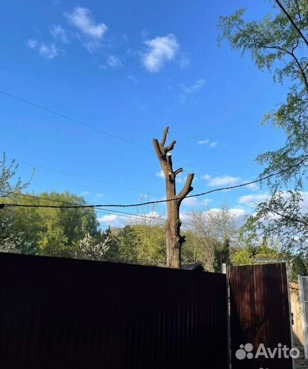 Удаление деревьев / Расчистка участков