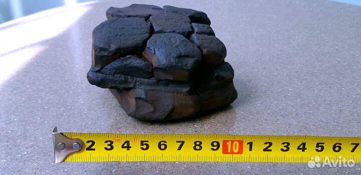 Окаменелость