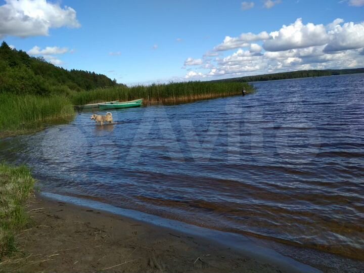 Участок 8 сот. (СНТ, ДНП)