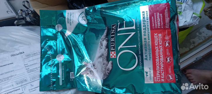 Сухие корма кошек