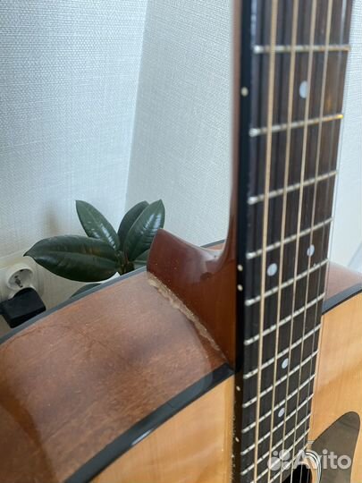 Акустическая гитара Walden