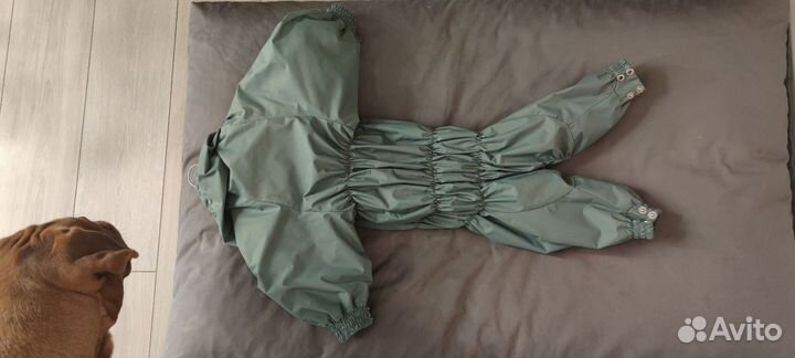 Дождевик для собаки девочки